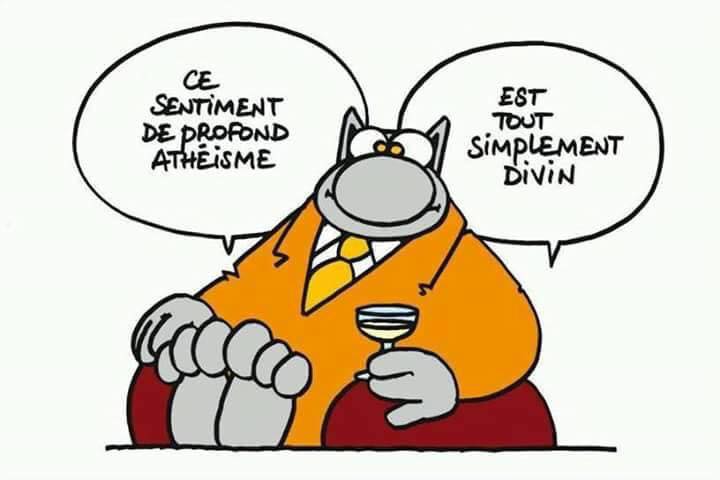 Ce sentiment de profond athéisme Le Chat.jpg