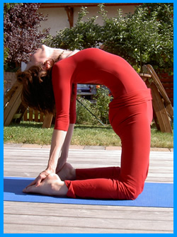 yogamrita_ustrasana4.jpg