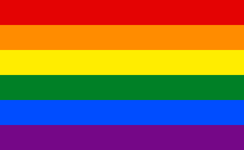 Gay_flag.svg.png