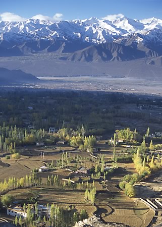 Ladakh leh.jpg