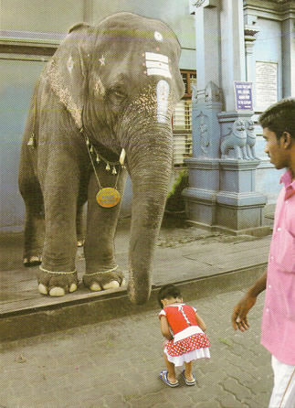 Ganesh & enfant.jpg
