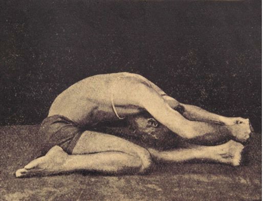 Tiryangamukha Dakshinapada Pascimottanasana.jpg