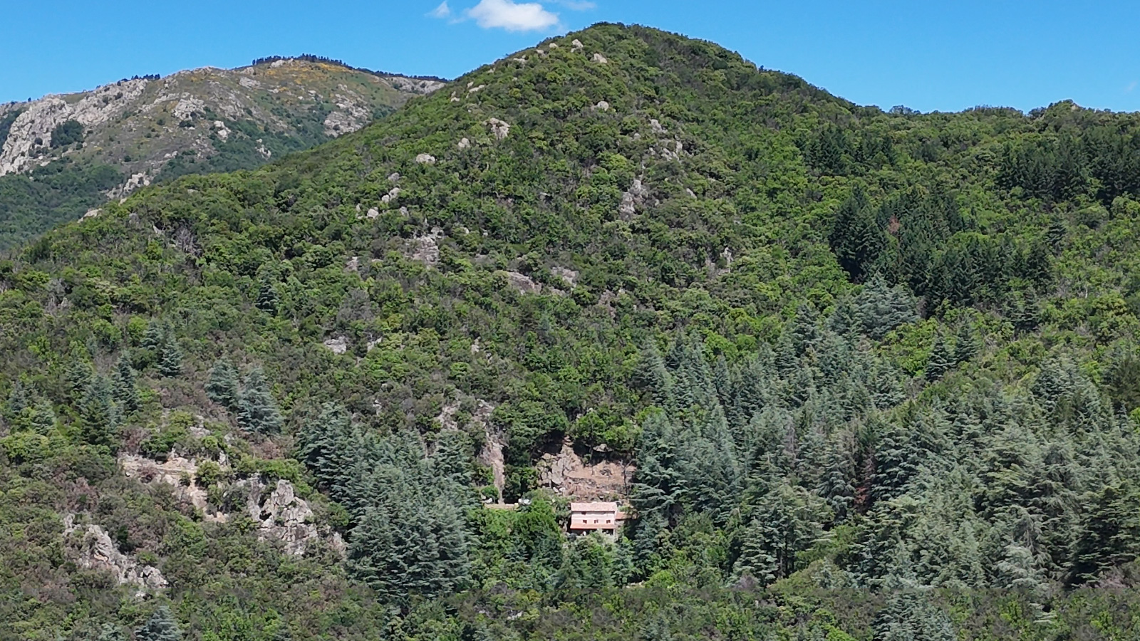 Haimavati, ashram de Yoga traditionnel dans l'Hérault, en pleine forêt