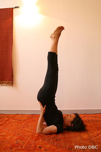 viparita-karani-mudra-2.jpg