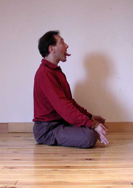 Jhiva-mudra-4.jpg