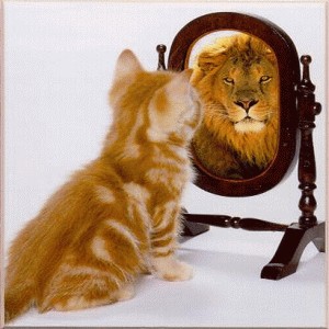 cat-lion_mirror.jpg