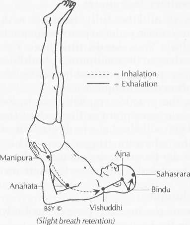 VipareetaKaraniMudra.jpg