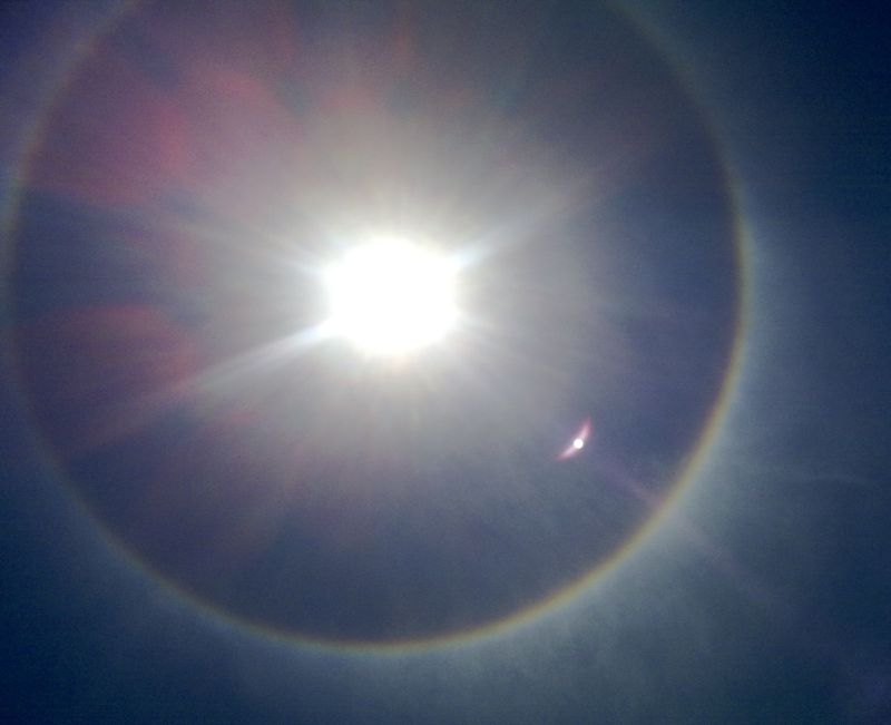 Halo soleil nov 2010 (800x6--).jpg