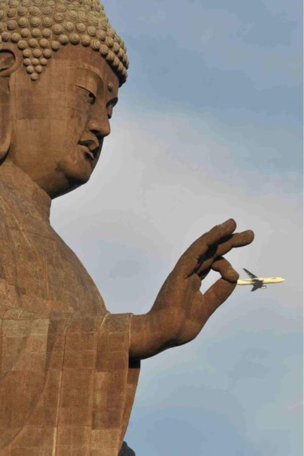 perfectly-timed-photos-airplane.jpg